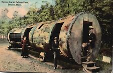 Vintage Postcard 1912 Spruce Log Palmer Park Interest Site Detroit Michigan MI picture