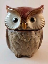 Vintage Harvest Spice Multicolor Owl Ceramic Canister Cookie Biscotti Jar Retro picture