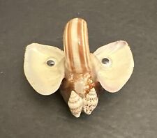 Unique Sea Shell Elephant art, Trunk Up - Good luck picture