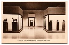 Vintage British Champion Domestic Animals, Field Museum of Nat. History Postcard picture