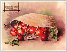 Victorian Trade Card Alden Fruit Vinegar Palmer Grocery Co Cherries Large Size picture