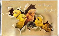 Vintage Antique Postcard Easter Baby Chicks Breaking out of Background S25 picture