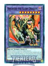 Yugioh Brigrand the Glory Dragon SDAZ-EN044 Common AMERICAN PRINT 1st Edition picture