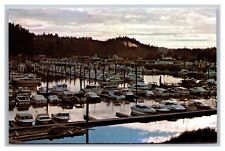 Ilwaco, WA Washington, Sunset at Ilwaco Port, Boat Dock, Vintage Postcard picture