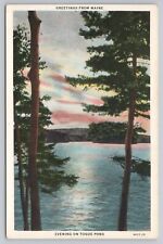 Scenic View Greetings From Maine Evening on Togue Pond Piscataquis ME UNP picture