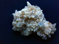 KB: FANTASTIC SW/LW FL. & PHOS. YELLOW/WHITE CALCITE XLS. FROM FRANCE picture