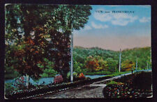 View Near Frankfort, NY, flowers, river, postmarked 1917 picture