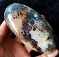 TOP 342 G  Natural Polished Aquatic Plants Agate Crystal Madagascar C4 picture
