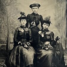 Antique Tintype Photograph Beautiful Very Fashionable Young Women Teen Girls picture