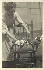 RPPC Postcard Portrait Of Woman With Basket Of Border Collie Puppies picture