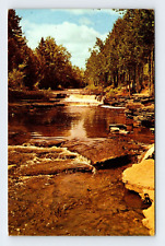 Whitefish Falls Michigan Upper Peninsula Vintage Postcard JNP14 picture