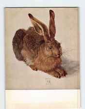 Postcard The Hare by Albrecht Durer picture