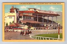 Tijuana-Mexico, Club House And Grand Stand, Antique, Vintage Postcard picture