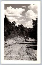 Lanesboro Minnesota~Lover's Lane~1940s RPPC picture