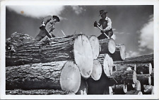 RPPC North Idaho Logging Loggers Lumber is King c1940's Timber Postcard picture
