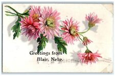 1912 Greetings From Blair Nebraska NE Posted Embossed Flowers & Leaves Postcard picture