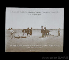 BOOK Hungarian Peasant Agriculture rural farming regional tools cooking HUNGARY picture