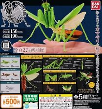 5 types fullcomplete The Diversity of Life on Earth Mantis Series 1 BANDAI Gacha picture