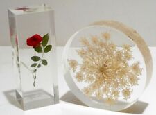 Two Vintage W WILLIAM ROLFE Lucite Acrylic Paperweights Rose & Queen Anne's Lace picture