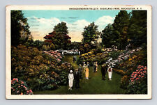 c1914 WB Postcard Rochester NY New York Rhododendron Valley Highland Park picture