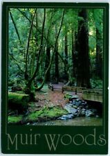 Postcard - Beautiful Redwood Creek In Muir Woods National Monument, California picture