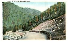 Mohawk Trail Berkshire Hills MA c.1925 Vintage Postcard-L2-244 picture