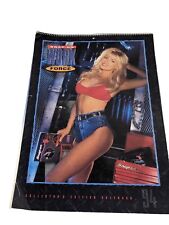 1994 Vintage MAC Tools Calendar Bikini Model ADVERTISING picture