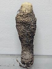 Ushabti Ancient Egyptian Antiquities Egyptian wrapped in Linen Egypt BC picture
