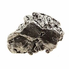 Meteorite. 122.0 Ct. Campo Del Cielo Meteorite, Gran Chaco, Argentina picture