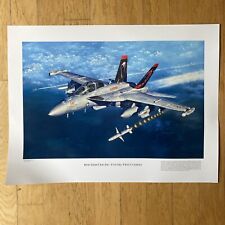 VAQ-132 Scorpions EA-18G Growler Poster Print US NAVY 24 X 18 USN Boeing picture