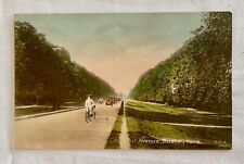 Edwardian Postcard..Bushey Park, Chestnut Ave, Hampton, Middlesex, England picture