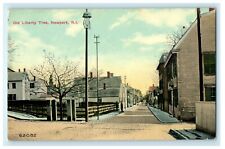 1911 Old Liberty Tree Newport, Rhode Island RI Antique Postcard picture