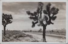 RPPC Frashers Mohave Desert Highway c20's Model A Ford Cars Joshua Trees Mts. CA picture