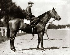 1938 Champion Race Horse SEABISCUIT Pollard Up PHOTO  (180-e) picture