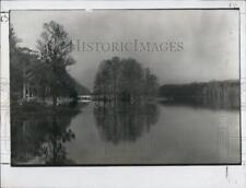 1981 Press Photo Cypress trees in Florida during winter - XXB08083 picture