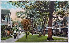 Oak Bluffs MA Clinton Avenue Houses Ladies Flag Trees 1924 Postcard Y71 picture