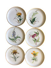 Set of 6 4” Rosenthal Germany Floral Coasters Butter Pats Signed Handpainted picture