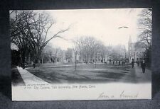 1905 The Campus Yale University New Haven CT Antique Postcard PC View Rotograph picture