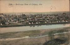 Canada 1911 Bird's Eye View of Calgary,AB Alberta The Fair Antique Postcard picture