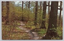 Postcard State Wilderness Center Wilmot Ohio picture