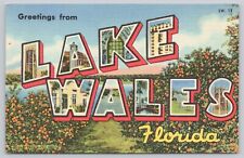 Postcard Greetings from Lake Wales FL large letter Curt Teich Linen picture