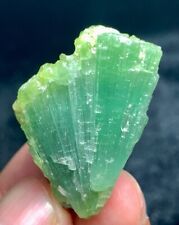 124 Carats Beautiful Tourmaline Crystal Bunch Specimen From Afghanistan picture