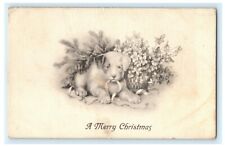 Merry Christmas Labrador Puppy 1913 Plano Illinois Vintage Antique Postcard picture