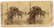 c1900's Underwood Real Photo Stereoview Card 