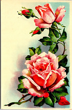 Postcard Roses - Embossed - Unposted c1907-1915 picture