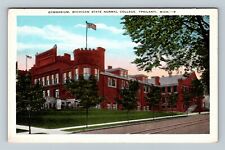 Ypsilanti, MI-Michigan, Michigan State Normal College, Gym, Vintage Postcard picture