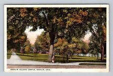 Oberlin OH-Ohio, Oberlin College Campus, Antique, Vintage c1924 Postcard picture