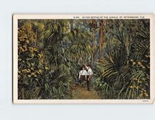Postcard In the Depths of the Jungle St. Petersburg Florida USA picture