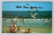 Avalon NJ-New Jersey, Beach and Sun Bathing on the Ocean, Vintage Postcard picture