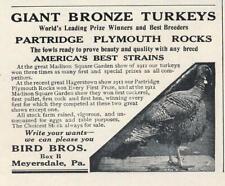 Magazine Ad - 1912 - Bird Bros. Poultry Farm - Chicks & Turkeys - Meyersdale, PA picture